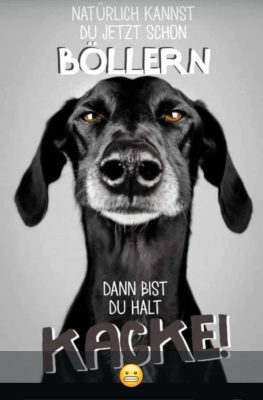 Julia Heise von Lizbeth Hundefotografie